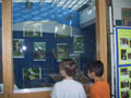 Ausstellung Arinya T. Berges
