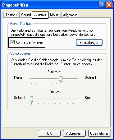 Man sieht das Fenster Eingabehilfen, in dem ein Häkchen vor den Kontrast aktivieren gemacht wurde.