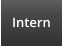 Intern