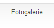 Fotogalerie