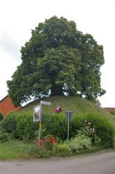 2009_NI-Evessen3