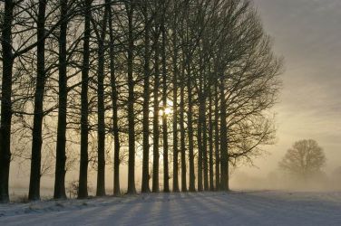 2010-1210 003Brocklinde2