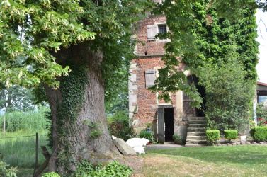 2010-1210 003Brocklinde5