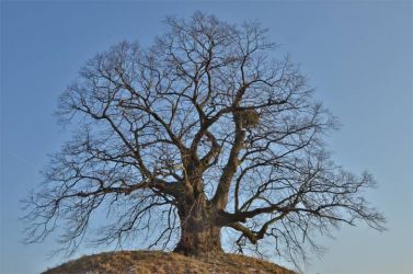 2012_NI-Evessen1