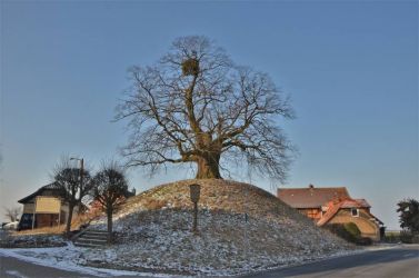 2012_NI-Evessen2