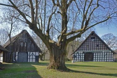 2013-NRW-ST-Leeden-Tanzlinde-Hof-114grad