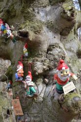 b_400_250_16777215_0_0_images_stories_fotos_BaumdesMonats_Buche-Ohrbergpark001.jpg