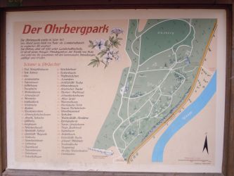 b_400_250_16777215_0_0_images_stories_fotos_BaumdesMonats_Buche-Ohrbergpark005.jpg