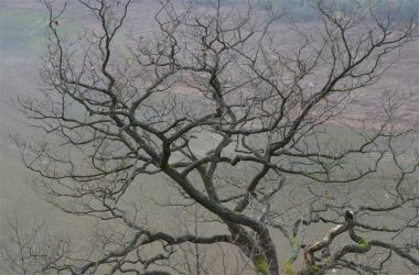 2011_KahleHardt7
