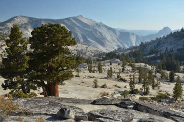 2012-Cal-Yosemite-Olmstedt-ueberblick