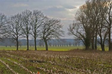 2009_ST-wstkap-duesterhoek