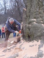 4. Holzkünstler am Werk