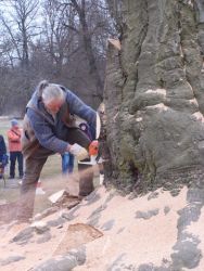 4. Holzkünstler am Werk