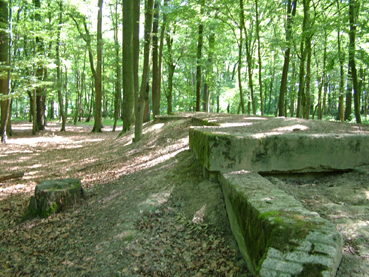 Auf diesem Bild ist die Gre der Bunker zu erahnen.