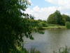 Angelteich Wiedaustrasse 16-18