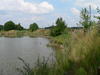 Angelteich Wiedaustrasse 16-18