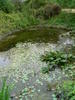 kuenstlicher Fischteich Inkingrodde