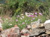 Garten Hof Wortmann