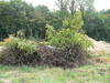 Obstwiese Hof Wortmann