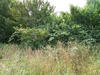 Panorama beim Hof Grosse Beckmann