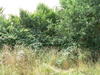 Panorama beim Hof Grosse Beckmann