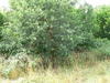 Panorama beim Hof Grosse Beckmann