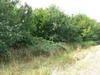 Panorama beim Hof Grosse Beckmann