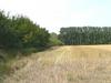 Panorama beim Hof Grosse Beckmann
