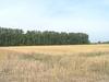 Panorama beim Hof Grosse Beckmann