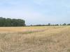 Panorama beim Hof Grosse Beckmann