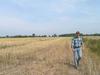 Panorama beim Hof Grosse Beckmann