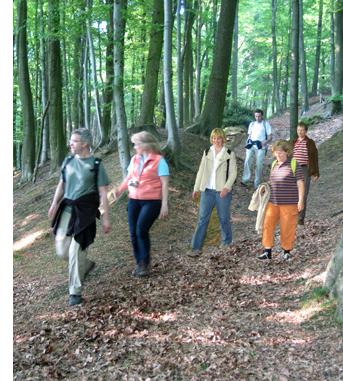 ImWalde1