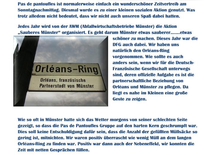 Nettoyons Orlans Ring_2