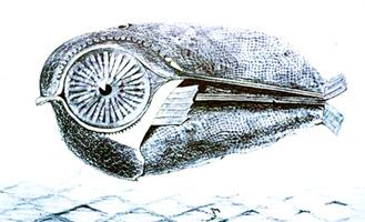 Fisch1