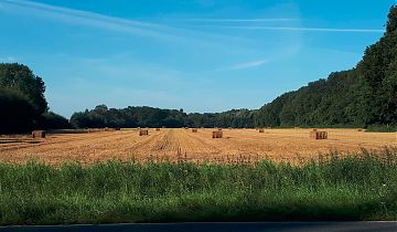 Herbst 2021 in Münster: Wie geht`s weiter mit den Veranstaltungen? (Foto: Frank-Christoph Stephan)