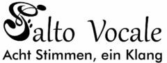 Salto Vocale – A Cappella vom Feinsten